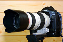 EOS-1Ds & EF70-200mmF2.8L