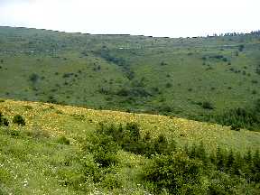 No2